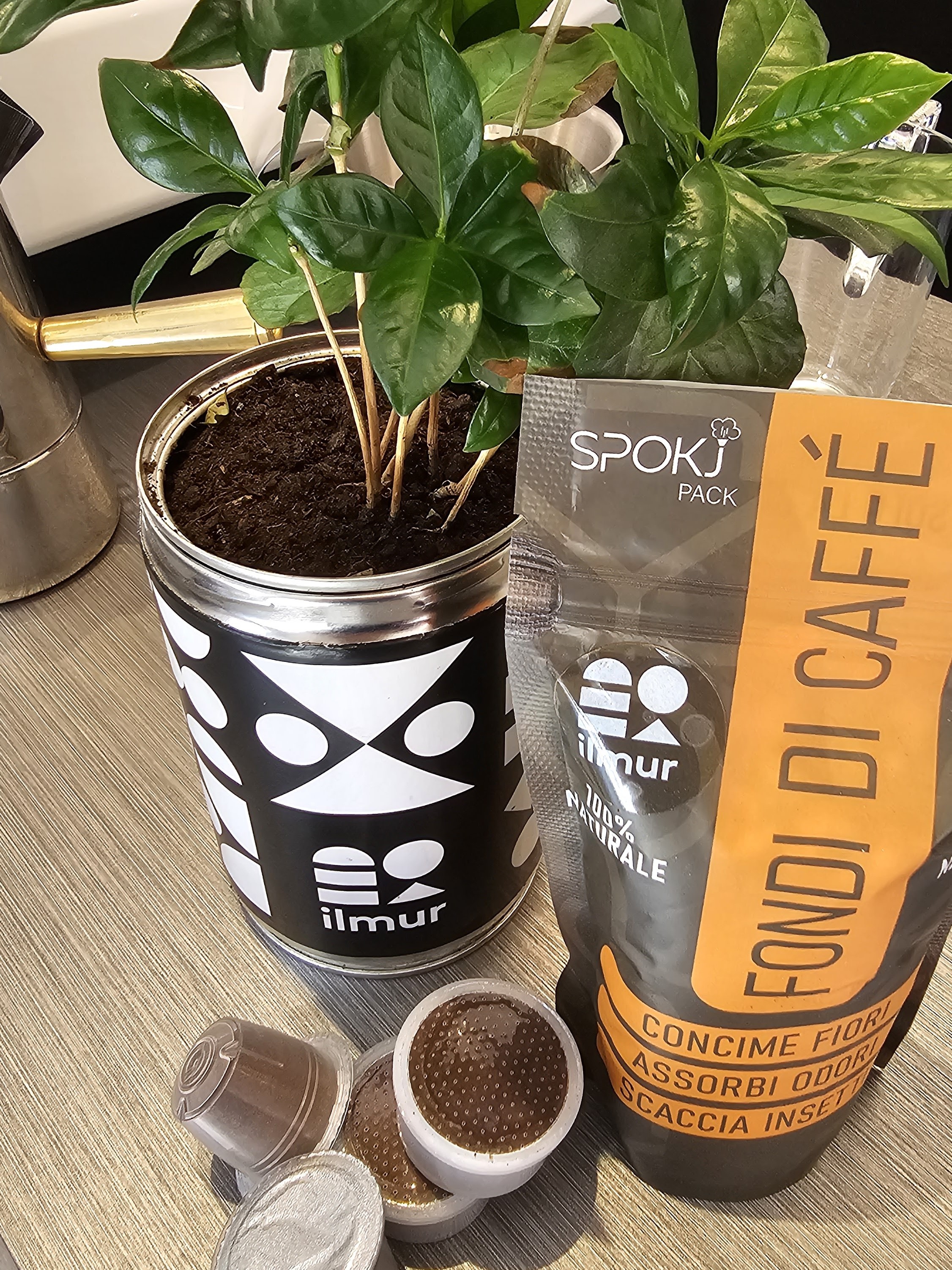 riciclo fondi di caffe ilmur verona 